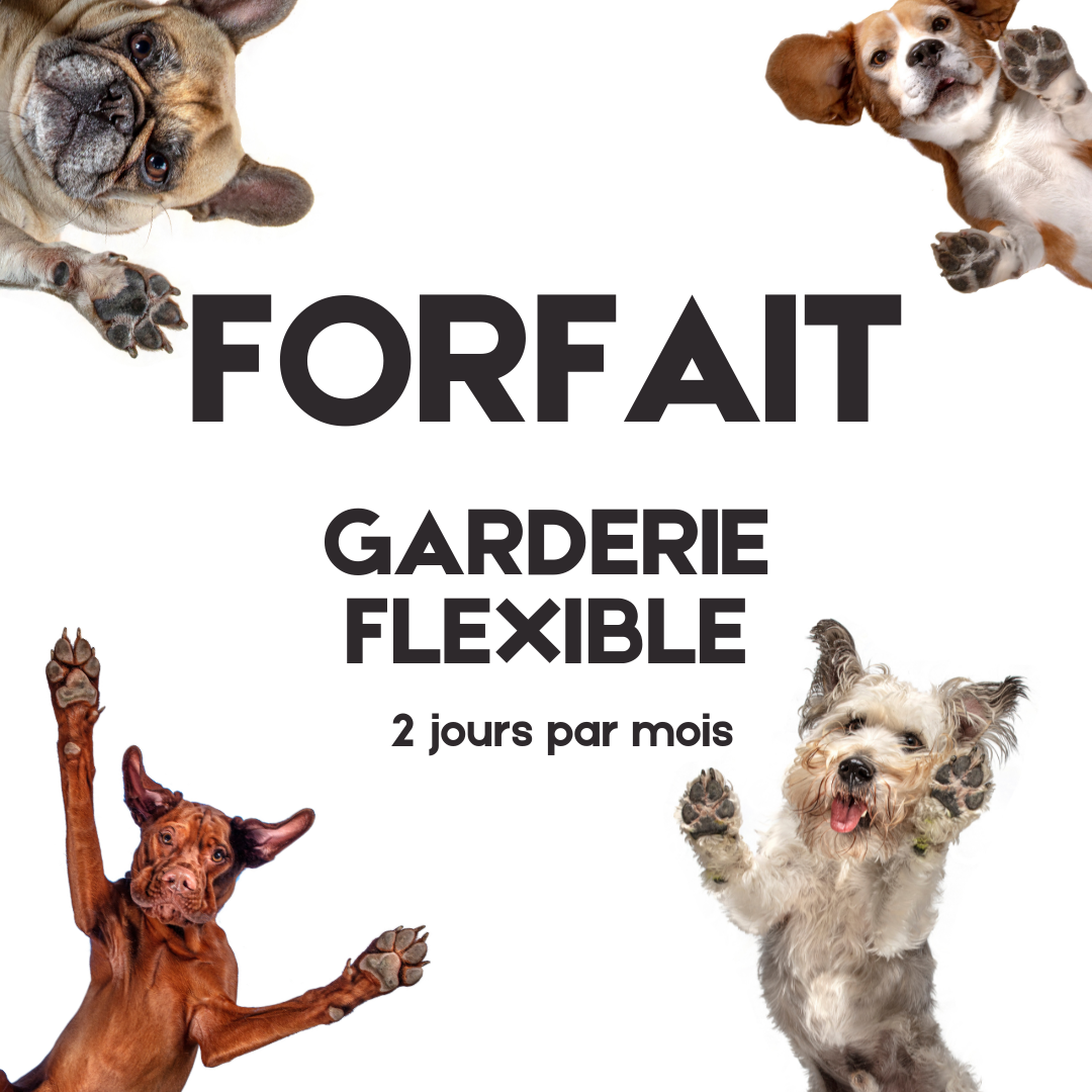 Forfait Garderie Flexible 24 jours