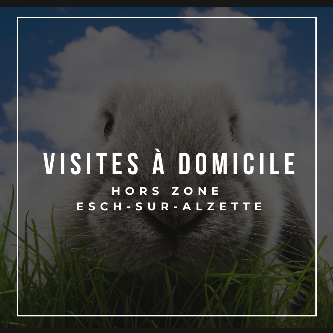 Visites à domicile Hors Zone Esch-sur-Alzette